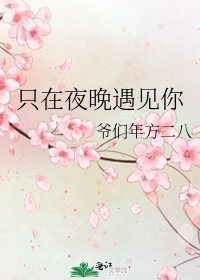 《只在夜晚遇见你》