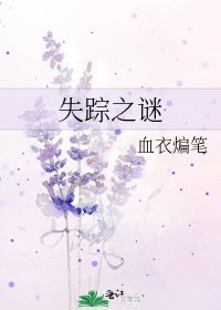 《失踪之谜》