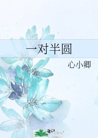 《一对半圆》