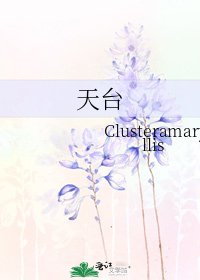《天台》