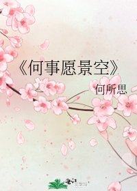 何事愿景空