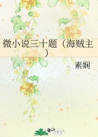 《微三十题(海贼主)》