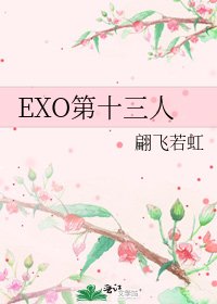 《EXO第十三人》