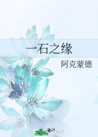 一石之缘