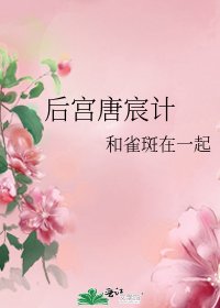 《后宫唐宸计》