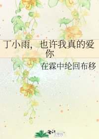 《丁小雨,也许我真的爱你》