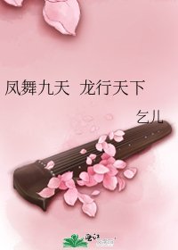 《凤舞九天 龙行天下》