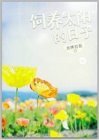 饲养太阳的日子
