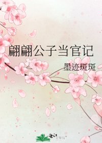 《翩翩公子当官记》