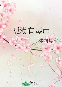 《孤漠有琴声》