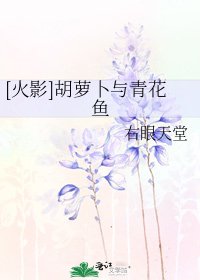[火影]胡萝卜与青花鱼