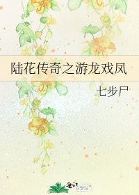 《陆花传奇之游龙戏凤》