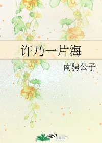许乃一片海