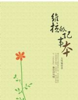 维拉的记事本