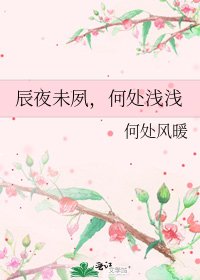 《辰夜未夙,何处浅浅》