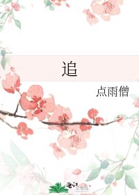 《追》