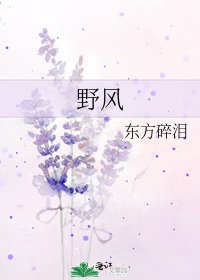 《野风》