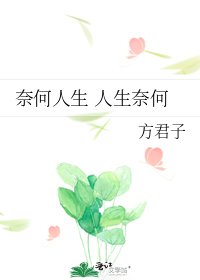 《奈何人生 人生奈何》