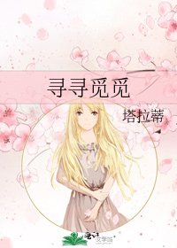 《寻寻觅觅》