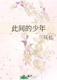 《此间的少年》