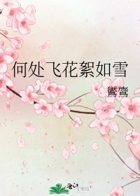 《何处飞花絮如雪》