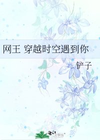 《网王 穿越时空遇到你》