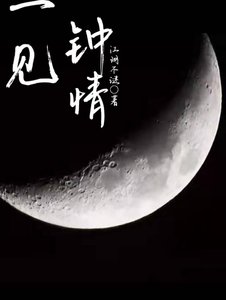 《一见钟情》