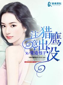 《注意,猎鹰出没》