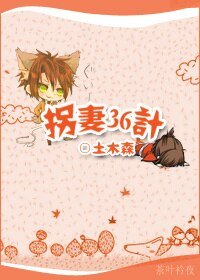 《拐妻36计》