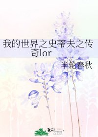 《我的世界之史蒂夫之传奇lor》