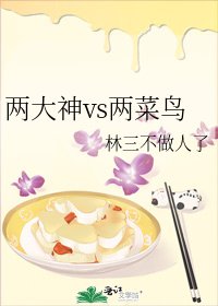 《两大神vs两菜鸟》