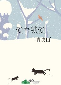 《爱吾锁爱》