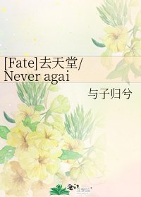 [Fate]去天堂/Never again