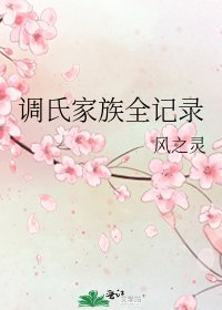 《调氏家族全记录》