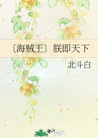 《〔海贼王〕朕即天下》