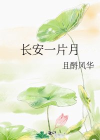 长安一片月