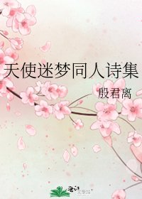 《天使迷梦同人诗集》