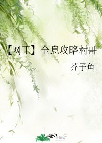《【网王】全息攻略村哥》