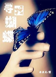 《寻找蝴蝶》