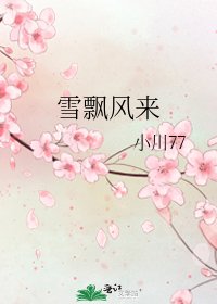 《雪飘风来》