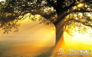 《溘埃》