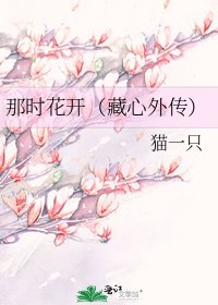 《那时花开(藏心外传)》