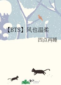 《【BTS】风也温柔》