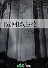 《(咒回同人)【咒回】双生花》