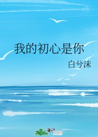 《我的初心是你》