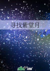《寻找紫堂月》