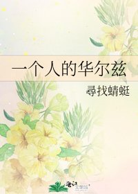 《一个人的华尔兹》
