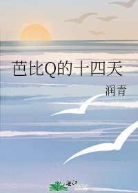 《芭比Q的十四天》