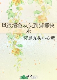 《风很清澈从头到脚都快乐》