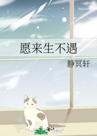 《愿来生不遇》